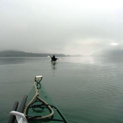 kayak in fog