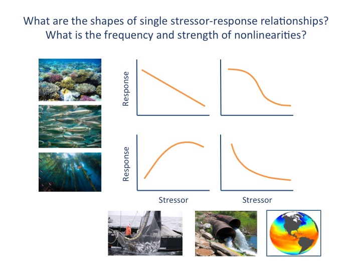 stressor-ecological component relationships