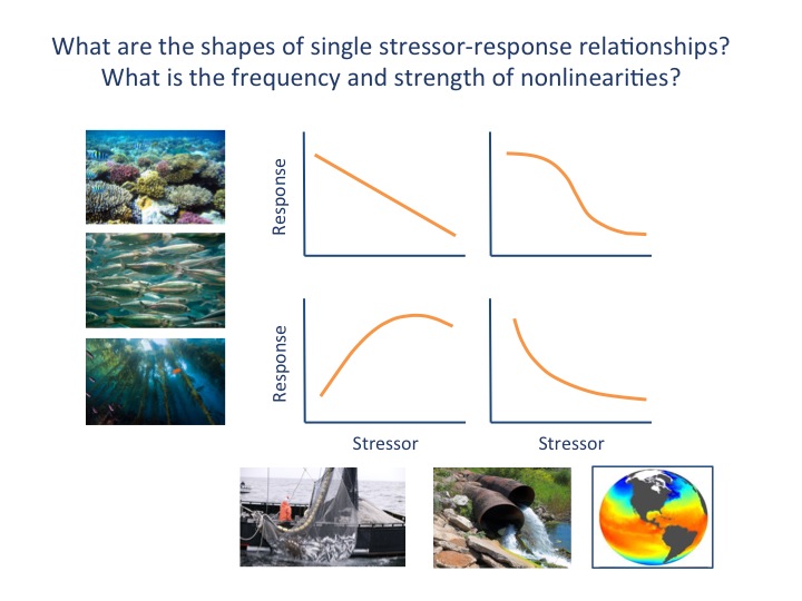 stressor-ecological component relationships